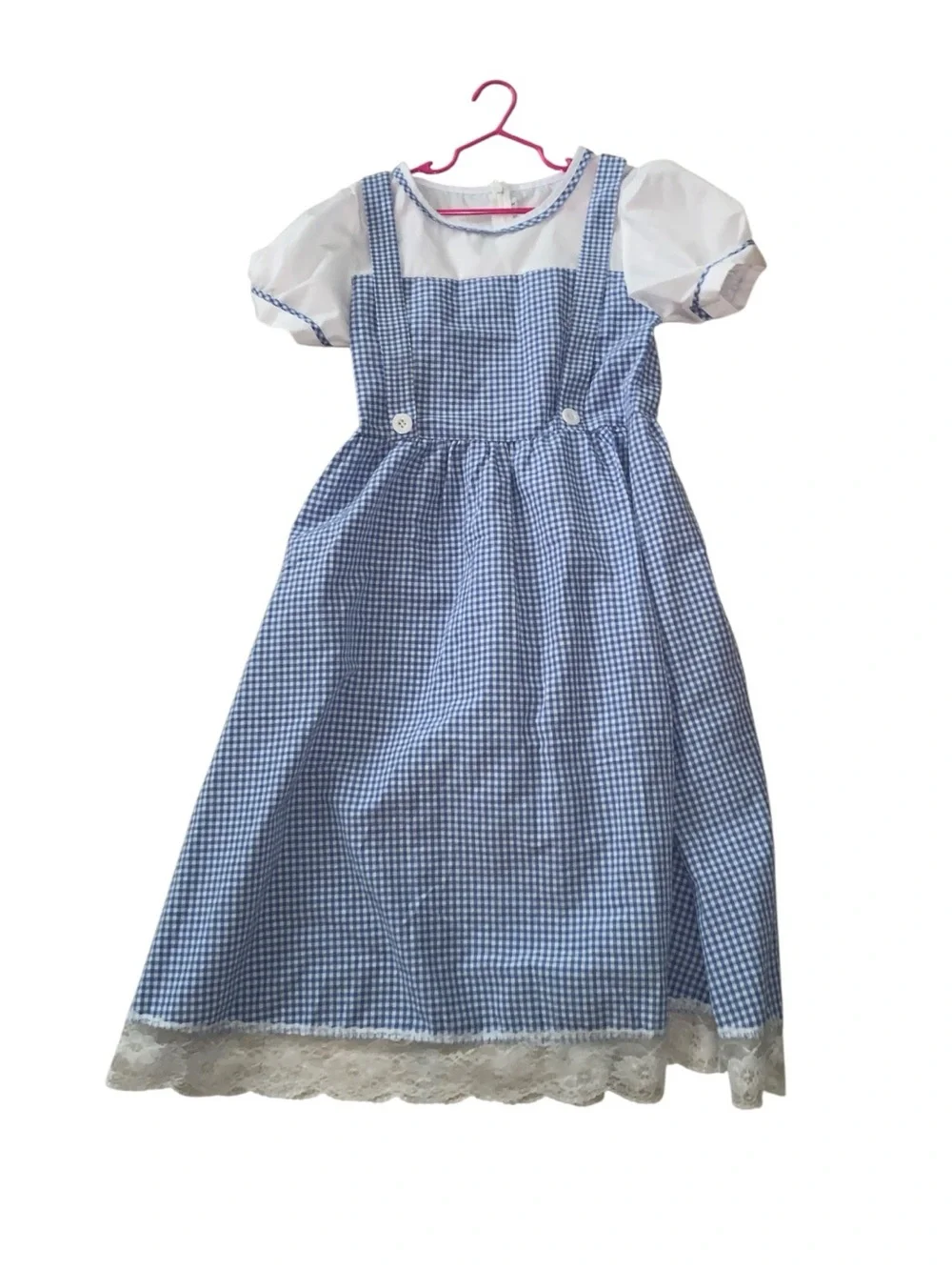 Girls Blue Gingham Dorothy Costume Dress with Red Shoes Basket Dog Plush